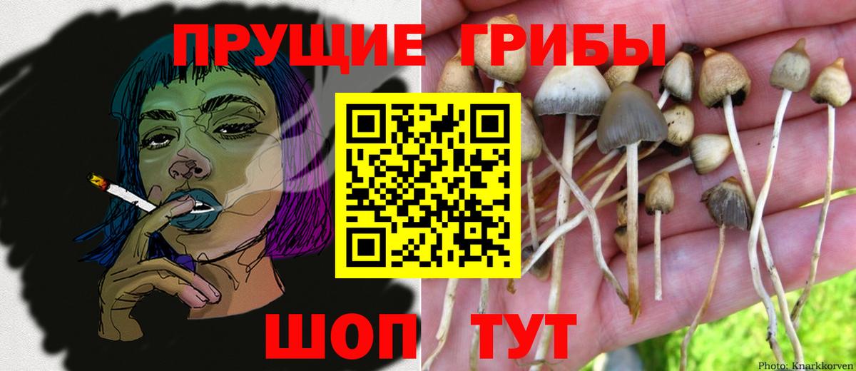 Галлюциногенные грибы ЛСД Бугульма
